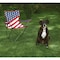 Outdoor Expressions Americana Folding Camp Chair AC2406 - alternate 4