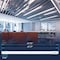 Luxrite 4FT T8 LED Tube Light, 13W (32W Equivalent), 1900 Lumens, 4PK LR34244 - alternate 8