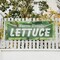 Signmission Farm Fresh Lettuce, 48 Inch x 120 Inch, Vinyl Banner B-120-30600 - alternate 4