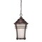 Homeroots Frosted Glass Bronze Lantern Hanging Light 397985 - alternate 4