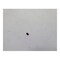 John Deere ORIFICE, JOHN DEERE OEM 324201 324201 - alternate 4