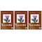 Strathmore 400 Series Watercolor Pad, Top Wire Binding, 12 Sheet, 11x15 inch, 3PK P440-2-03 - alternate 1