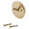 Delta Other Overflow Plate & Screws - Trip Lever RP31555CZ - alternate 2