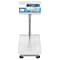 Adam Equipment BTT Touch-Screen Label Printing Scales-Capacity: 16lb / 8kg Readability: 0.0002lb / 0.1g BTT 8 - alternate 4