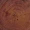 Bali & Pari Samira Solid Suar Wood End Table 263-14275-ZORO - alternate 5