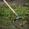 Corona Tools Oscillating Hoe, Ash Wood Handle SH 60001 - alternate 3