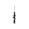 Fcs Struts Suspension Strut 334486R - alternate 1