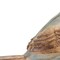 Homeroots Set of Six 3" Blue And Brown Polyresin Bird Figurine Tabletop Sculpture, 6PK 518144 - alternate 6