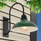 Jonathan Y Stanley 12.25" 1-Light Farmhouse Industrial Iron LED Gooseneck Arm Outdoor Sconce, Green JYL7614F - alternate 8