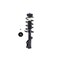 Fcs Struts Suspension Strut And Coil Spring Assembly 1333839 - alternate 4