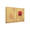 Trademark Fine Art Outdoor Canvas Art - Desislava Ignatova  'Its Raining Again' Wall Art for Patios, or Gardens 1X30119-OC1624WR - alternate 1