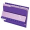 Pendaflex FOLDER, INTERIOR, LTR, VT, 100PK 421013VIO - alternate 2