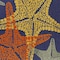 Homeroots 8' X 11' Blue Yellow And Orange Starfish Indoor Outdoor Area Rug 546875 - alternate 8