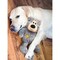 Kong Wild Knots NKR1 Dog Toy, L/M, Bear, Assorted KO-NKR1 - alternate 5