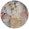 Homeroots 8' Terra Cotta Copper And Beige Round Floral Washable Indoor Outdoor Area Rug 588536 - alternate 6