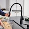 Blanco Rivana Semi-Pro 1.5 GPM, Matte Black 443019 - alternate 8