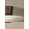 Troy Lighting Albus 15.75in wide 1 Light Integrated LED Semi Flush in Bronze Leaf C5016-BRL - alternate 5