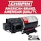 Chapin Diaphragm Pump, Positive Displacement, For: 15 and 25 gal ATV Sprayers 6-9138 - alternate 4