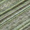 Homeroots 8' Olive Green Gray And Fern Green Round Southwestern Washable Indoor Outdoor Area Rug 615970 - alternate 6
