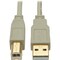 Tripp Lite USB 2.0 Hi-Speed A/B Cable M/M 28/24 AWG 480 Mbps Beige 10FT 10ft U022-010-BE - alternate 1