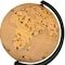 Homeroots 13" Animals of the World Acrylic Globe With LED and Night Light 468342 - alternate 4