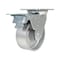 Vestil Cast Iron/Steel Swivel With Total Brake Caster 5 In. Diameter x 2 In. Width 1320 lb Silver CST-VE-5X2CI-SWTB - alternate 1