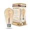Bulbrite 40W Equivalent Amber Light ST18 Dimmable LED Filament Light Bulb, 2PK 860992 - alternate 10