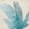 Homeroots Set of Four 21" Blue Coral White Frame Wall Decor, 4PK 365887 - alternate 4