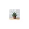 Artstone Dolce Water-Minder Planter, Plastic, Rust, Indoor/Outdoor, 10-In. Round 3102.05 - alternate 4