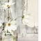 Homeroots White Blossoms 1 White Framed Print Wall Art 407737 - alternate 5