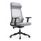 Leisuremod Dale Mesh Office Chair - Ergonomic Adjustable Desk Chair with Headrest & Armrests DO56LGR - alternate 1