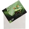 Tarifold Index Card Pocket, Self-Adhesive, Top Opening 4" x 6", PK100 21160 - alternate 1