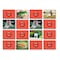 Stages Learning Materials Photographic Memory Matching Game, Animals, 3PK SLM-220 - alternate 5