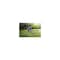 Toro 8 in. 60V Max Lithium Ion Cordless Electric Lawn Edger - Battery and Charger Included 51833 - alternate 5