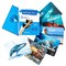 Stages Learning Materials Photographic Memory Matching Game, Sea Life, 3PK SLM-222 - alternate 6