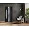 Vdomdoors Steel Door Deux 1755 Black Enamel Stainless Inserts Single Modern Painted DEUX1755EXD-BLK-W36 x H80-Right-hand Inswing - alternate 5