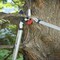Corona Tools DualLINK Bypass Lopper, 1-3/4 in. Cut Capacity SL 4264 - alternate 4