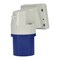 Walther-Werke Pin and Sleeve Inlet, 20A, 230/250, 1 Phase, 2 Pole, NEMA Not Rated 611306 - alternate 1