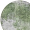 Homeroots 8' Green And Gray Round Abstract Washable Indoor Outdoor Area Rug 582940 - alternate 7