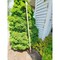 Dewitt Diamond Push Hoe Long Handle, The Ideal Long Handled Hoe for Cutting Weeds Wihtout Straining. 31-10 - alternate 3