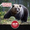 Counter Assault Bear Spray, Red, 8.1 oz Sz, Steel 1506-7025 - alternate 7