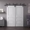 Sartodoors Sliding Closet Barn Bypass Doors 48x96 inches White Solid Core Modern Interior ROYAL9833BBB-EMAL-4896 - alternate 1