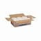 Georgia-Pacific Pacific Blue Ultra Hardwound Paper Towels, 1 Ply, Continuous Roll Sheets, 1,150 ft, White, 6 PK 26490 - alternate 6