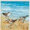 Homeroots 19" X 19" White Frame Sandpipers, Set Of 2, 2PK 365252 - alternate 4