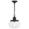 Vaxcel Collins 10-in. W Outdoor Pendant T0547 - alternate 1