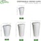 Ecoquality 12oz White Hot Drink Coffee Cups with White Dome Lids - For Coffee Shops, and Latte, 100PK EQ12WHTPCWDL-100 - alternate 4