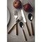 Mepra Fantasia Flatware Set - 5 Pieces - Tobacco 10M622005 - alternate 6