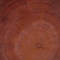 Bali & Pari Rapha Suar Wood Accent Table 261-14286-ZORO - alternate 7