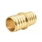 Thrifco Plumbing 1/2" Brass Coupling Lead Free F1807 - PEX B 7910002 - alternate 4