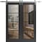 Sartodoors Sturdy Double Barn Door, Lucia 2466 Matte Black with Clear Glass and Aluminum Strips, 13FT Rail Ha LUCIA2466DB-S-BLK-36 x 80 - alternate 1